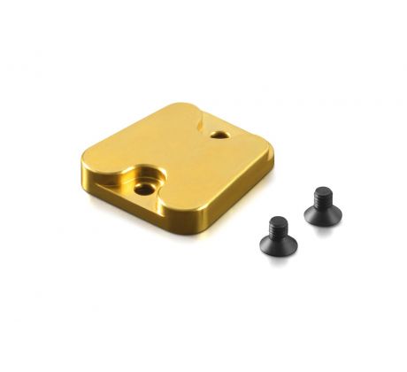BRASS CHASSIS WEIGHT MIDDLE
