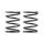 XRAY 3S SPRING-SET C=4.0 (2)