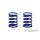 XRAY SPRING-SET C=3.6 - SOFT-MEDIUM - REAR (2)