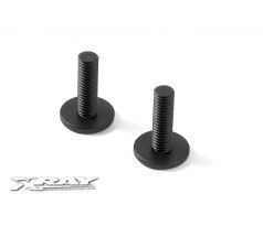 COMPOSITE REAR BODY HOLDER SCREW (2)