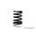 XRAY SPRING-SET C=8.5 - FRONT (2)