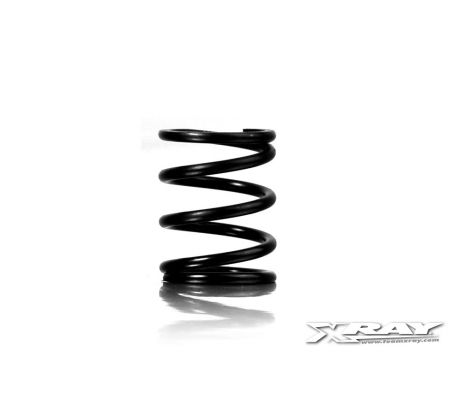 XRAY SPRING-SET C=10.0 - FRONT (2)