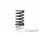 XRAY SPRING-SET C=5.0 - REAR (2)