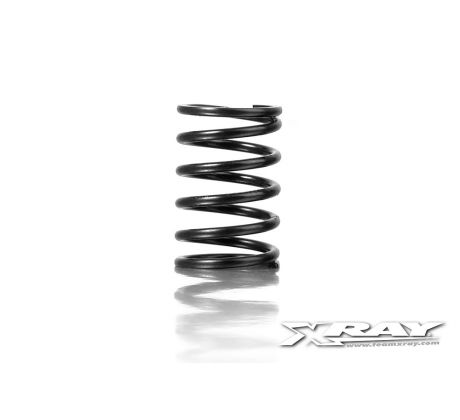 XRAY SPRING-SET C=5.0 - REAR (2)