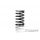 XRAY SPRING-SET C=5.6 - REAR (2)
