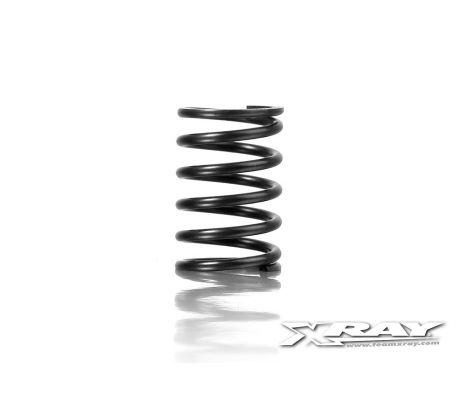 XRAY SPRING-SET C=5.6 - REAR (2)