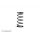 SHOCK SPRING C=2.1 - BLACK