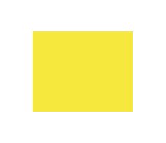 RC CAR 019 Yellow 150ml