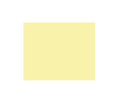 RC CAR 020 Yellow 150ml