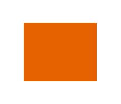 RC CAR 1011 Fluorescent dark orange 150ml