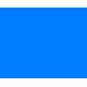RC CAR 1014 Fluorescent blue 150ml