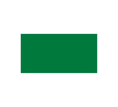 Premium RC Basic green 60ml
