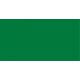 Premium RC Basic green 60ml