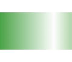 Premium RC Metallic green 60ml