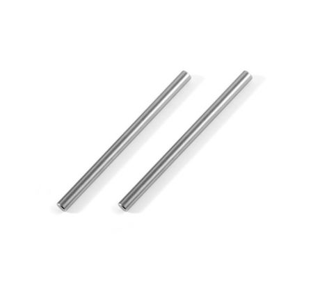 REAR LOWER INNER PIVOT PIN (2)