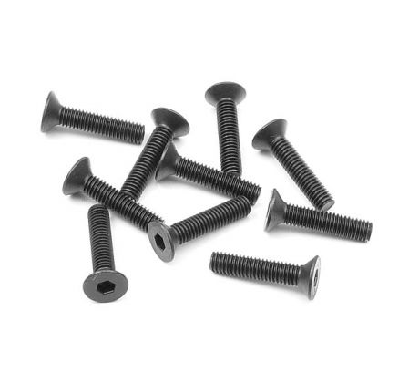 HEX SCREW SFH M3x14  (10)