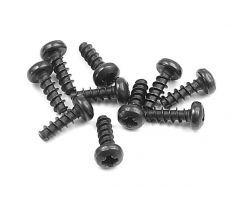 SCREW PHILLIPS 2.5x8  (10)