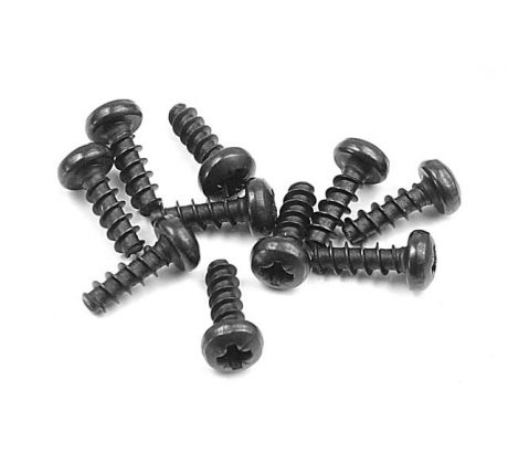 SCREW PHILLIPS 2.5x8  (10)