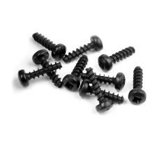 SCREW PHILLIPS 2.5x10  (10)