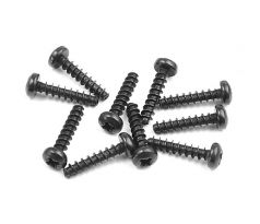 SCREW PHILLIPS 2.5x12  (10)