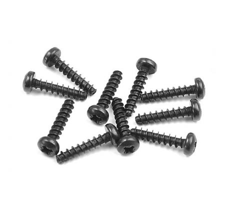 SCREW PHILLIPS 2.5x12  (10)