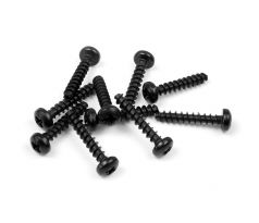 SCREW PHILLIPS 2.5x14  (10)