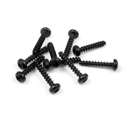 SCREW PHILLIPS 2.5x14  (10)