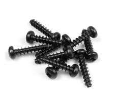 SCREW PHILLIPS 3.0x14  (10)