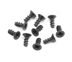 SCREW PHILLIPS FH 2.5x6  (10)