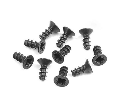 SCREW PHILLIPS FH 2.5x6  (10)