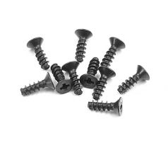 SCREW PHILLIPS FH 2.5x8  (10)