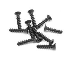 SCREW PHILLIPS FH 2.5x12  (10)