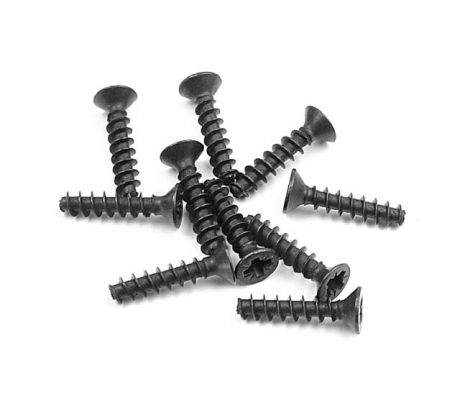 SCREW PHILLIPS FH 2.5x12  (10)