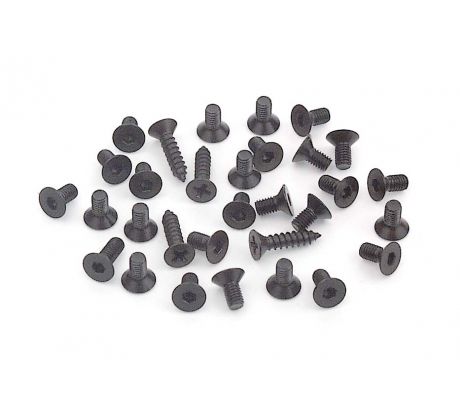 BLACK HEX AND PHILLIPS SCREW SET FOR T1  (31)