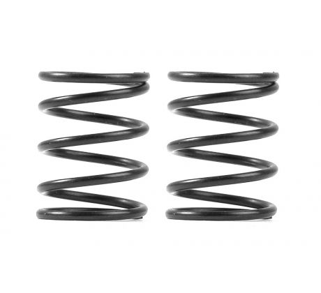 XRAY 3S SPRING-SET C=4.0 (2)