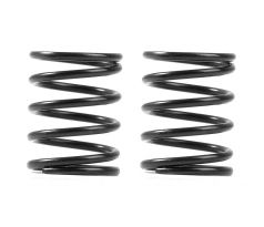 XRAY 3S SPRING-SET C=4.5 (2)