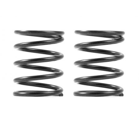 XRAY 3S SPRING-SET C=5.0 (2)