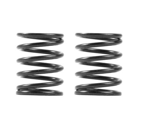 XRAY 3S SPRING-SET C=5.5 (2)