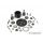 CENTRAL DIFFERENTIAL - SET