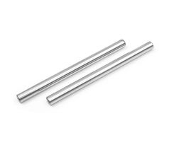 REAR LOWER OUTER PIVOT PIN (2)