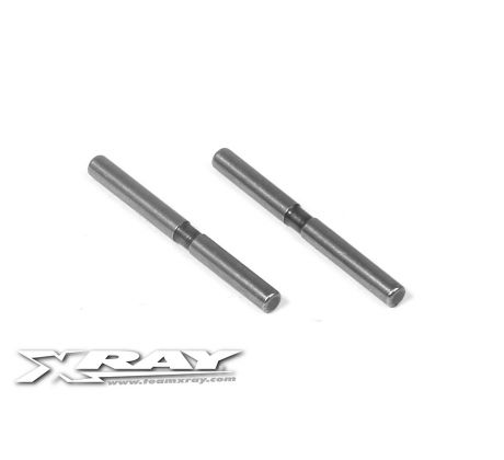 REAR ARM PIVOT PIN (2)